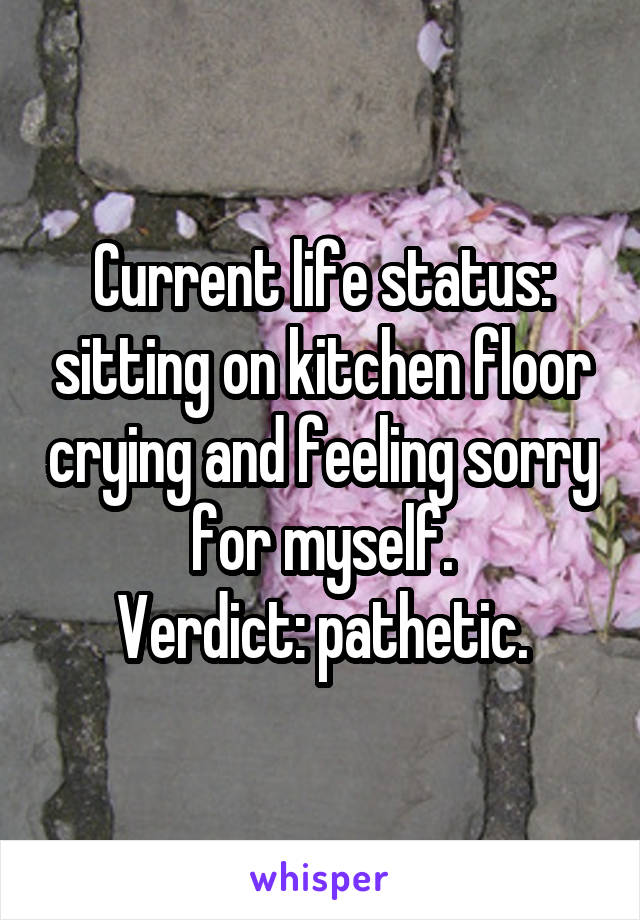 Current life status: sitting on kitchen floor crying and feeling sorry for myself.
Verdict: pathetic.
