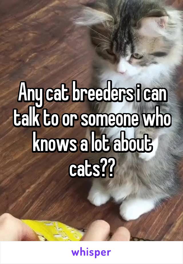 Any cat breeders i can talk to or someone who knows a lot about cats??