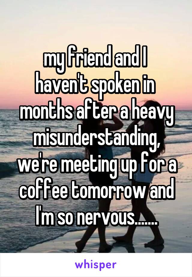 my friend and I 
haven't spoken in 
months after a heavy misunderstanding, we're meeting up for a coffee tomorrow and I'm so nervous.......