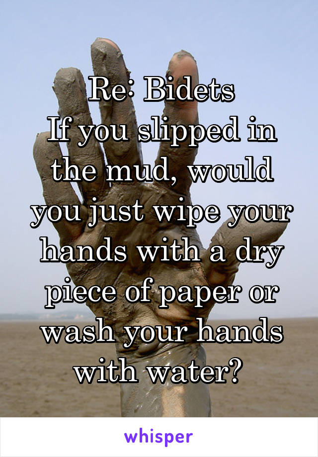 Re: Bidets
If you slipped in the mud, would you just wipe your hands with a dry piece of paper or wash your hands with water? 