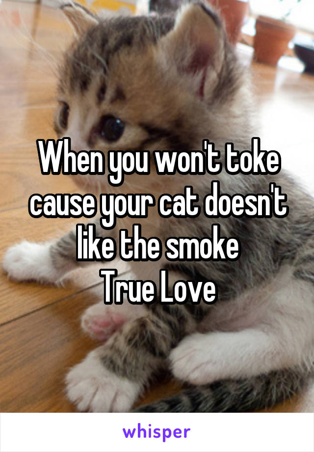 When you won't toke cause your cat doesn't like the smoke
True Love