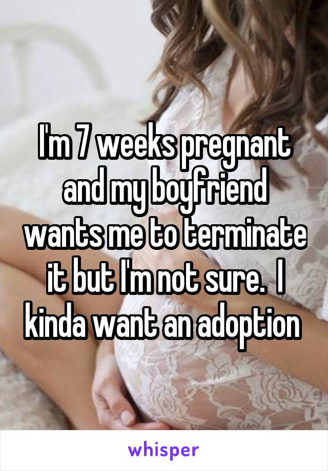 I'm 7 weeks pregnant and my boyfriend wants me to terminate it but I'm not sure.  I kinda want an adoption 