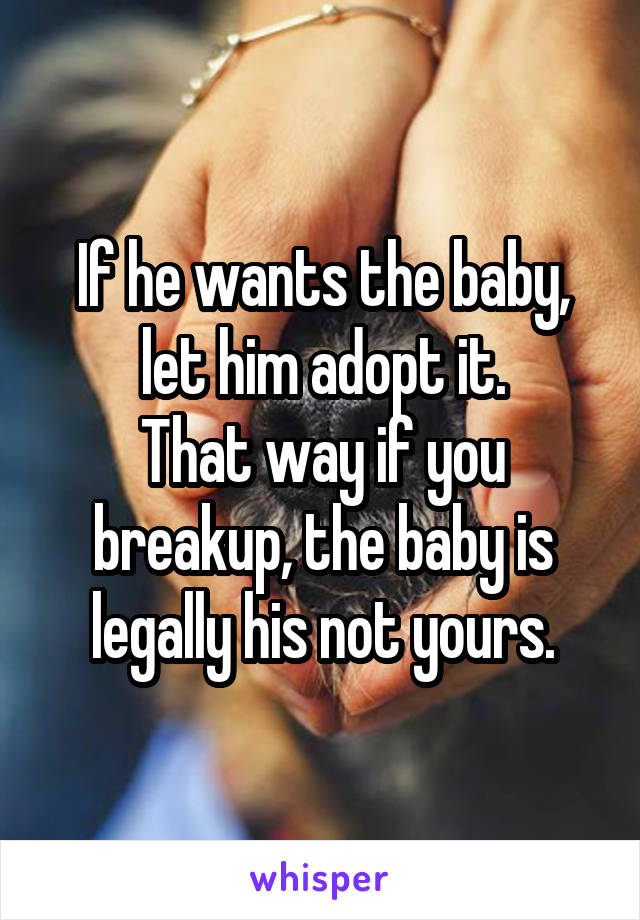 If he wants the baby, let him adopt it.
That way if you breakup, the baby is legally his not yours.