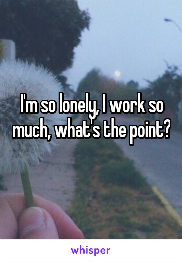 I'm so lonely, I work so much, what's the point? 