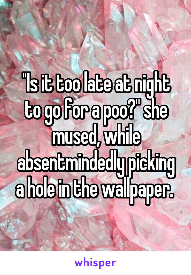 "Is it too late at night to go for a poo?" she mused, while absentmindedly picking a hole in the wallpaper. 