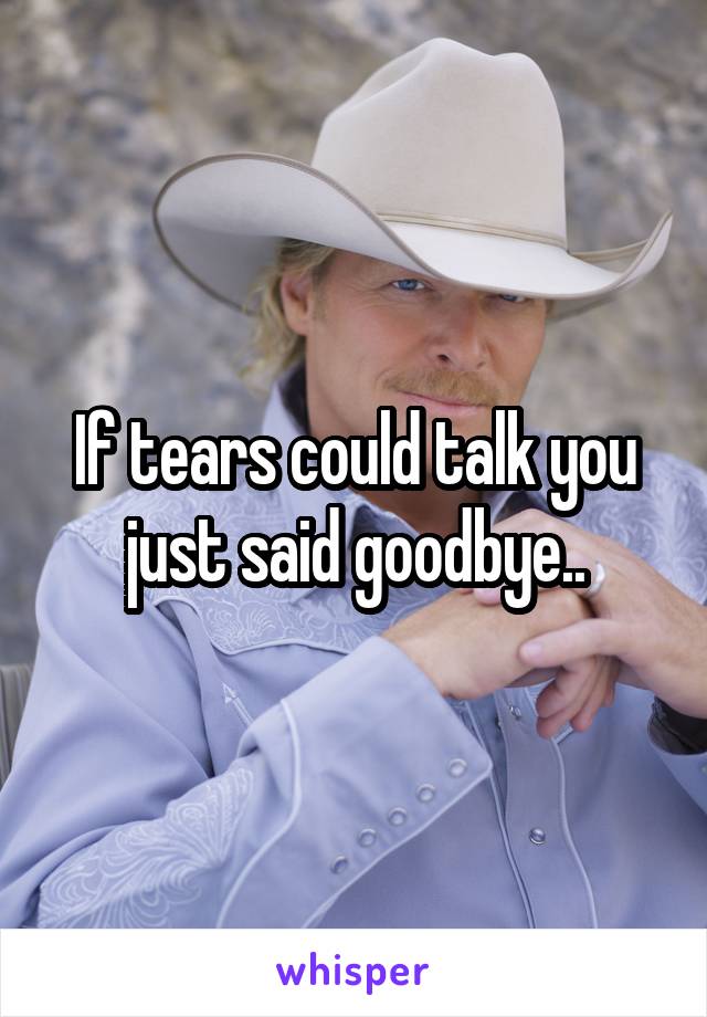 If tears could talk you just said goodbye..