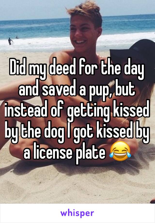 Did my deed for the day and saved a pup, but instead of getting kissed by the dog I got kissed by a license plate 😂