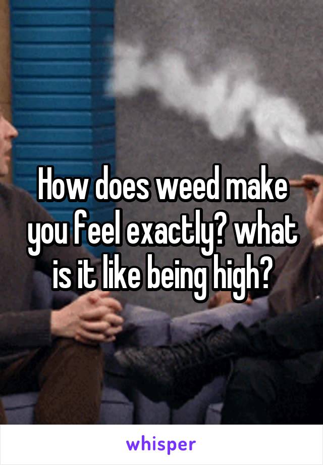 How does weed make you feel exactly? what is it like being high?