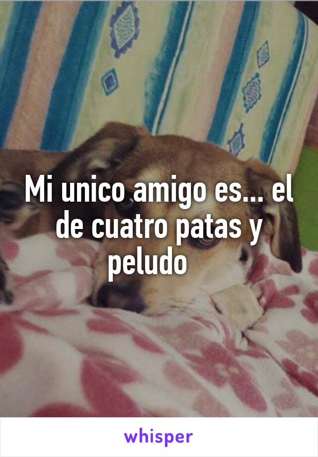 Mi unico amigo es... el de cuatro patas y peludo   