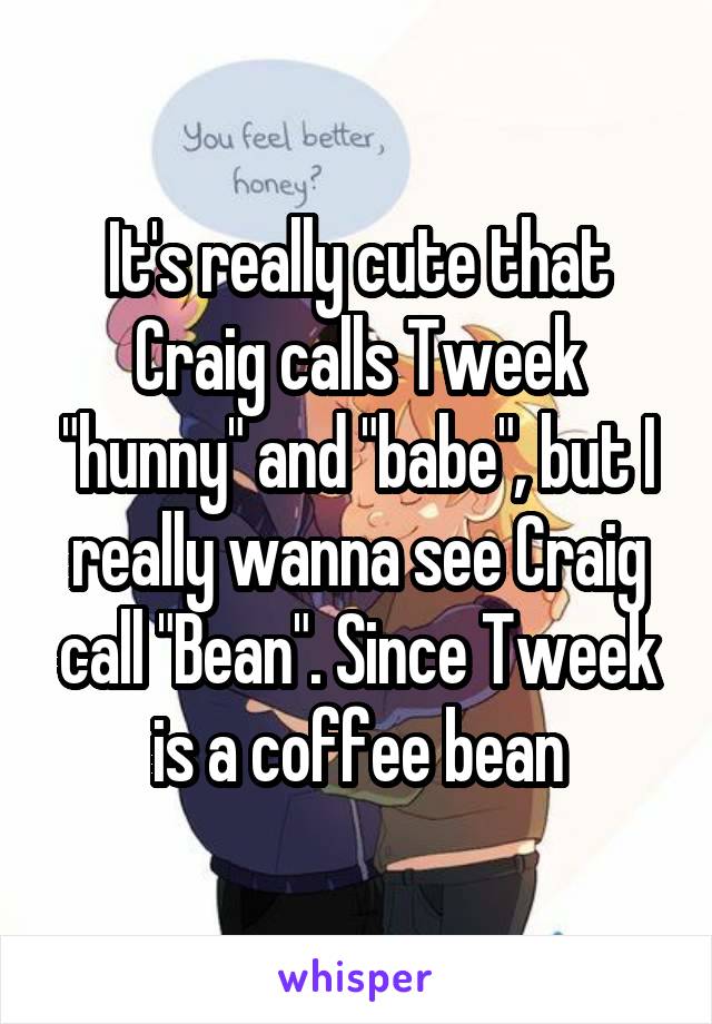 It's really cute that Craig calls Tweek "hunny" and "babe", but I really wanna see Craig call "Bean". Since Tweek is a coffee bean