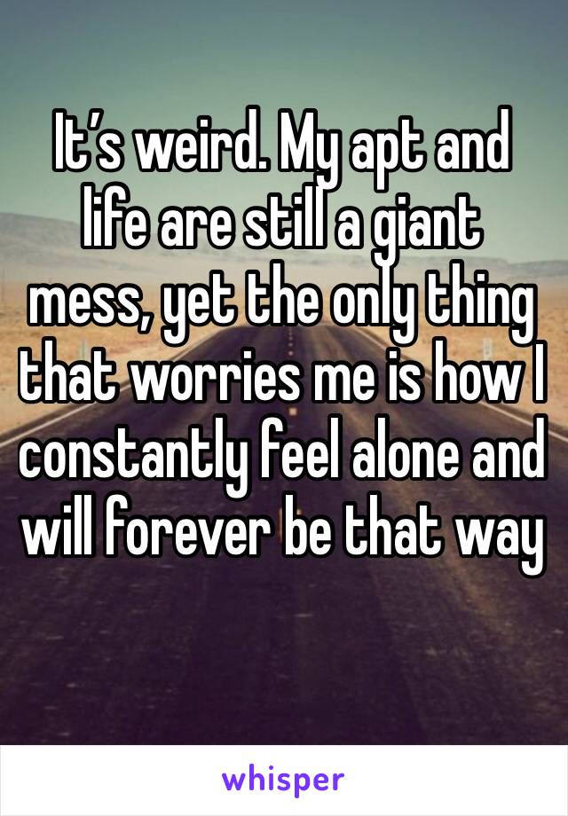 It’s weird. My apt and life are still a giant mess, yet the only thing that worries me is how I constantly feel alone and will forever be that way