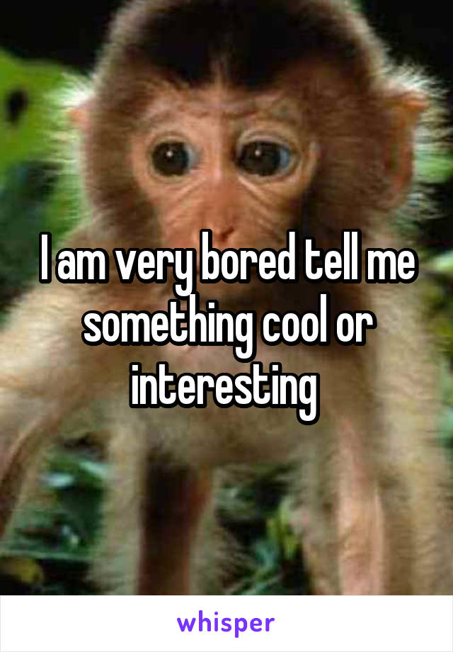 I am very bored tell me something cool or interesting 