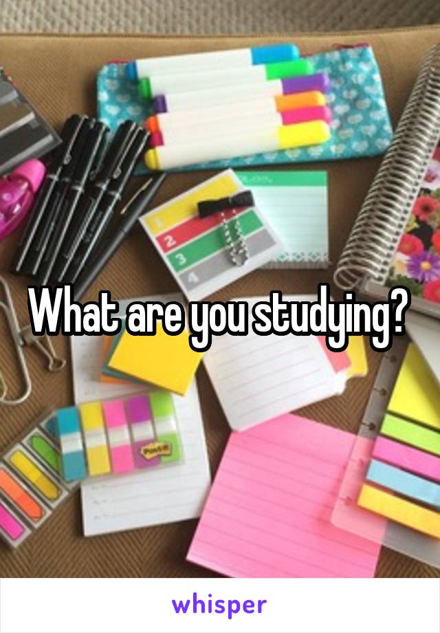 What are you studying? 