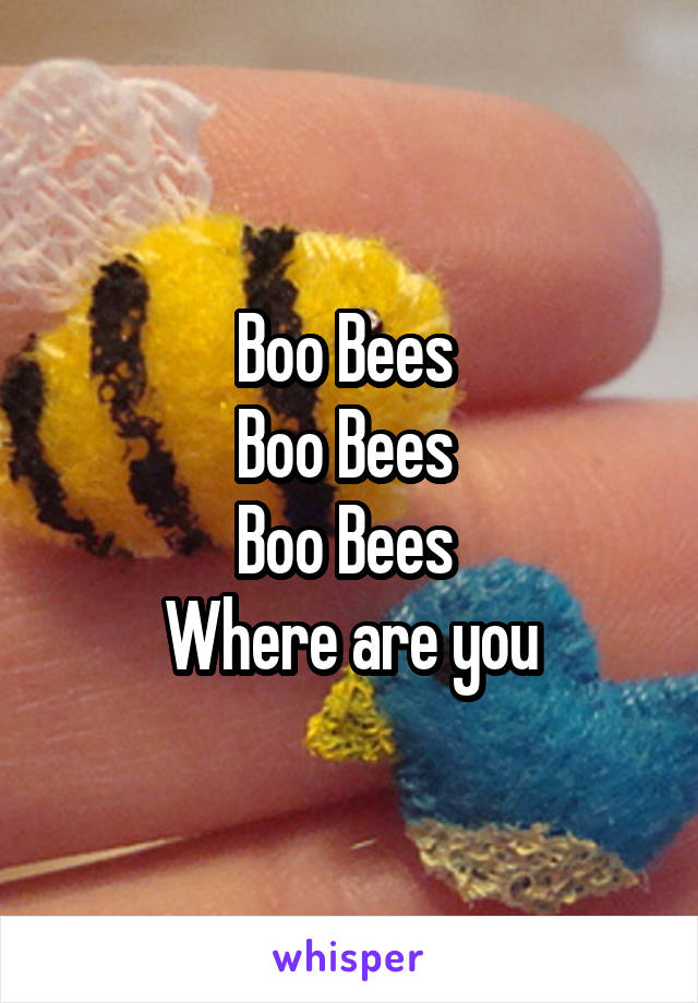 Boo Bees 
Boo Bees 
Boo Bees 
Where are you