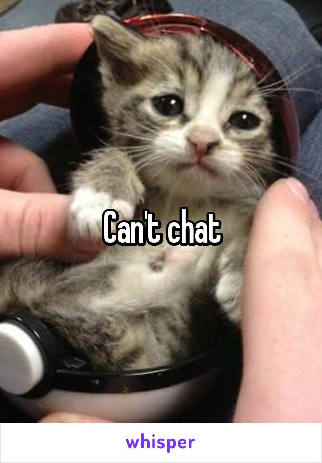 Can't chat