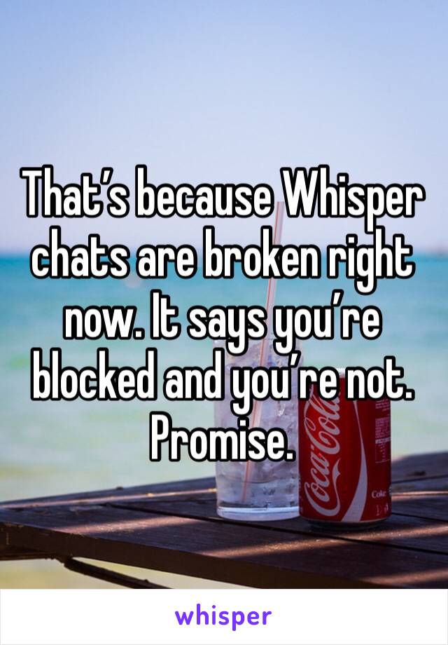 That’s because Whisper chats are broken right now. It says you’re blocked and you’re not. Promise. 