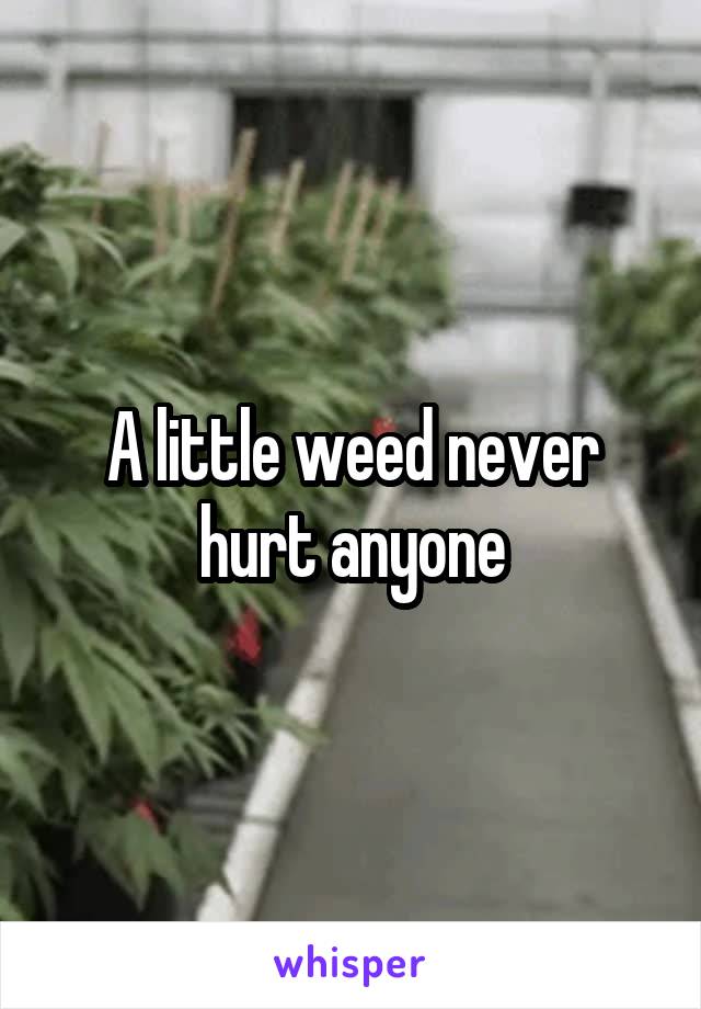 A little weed never hurt anyone