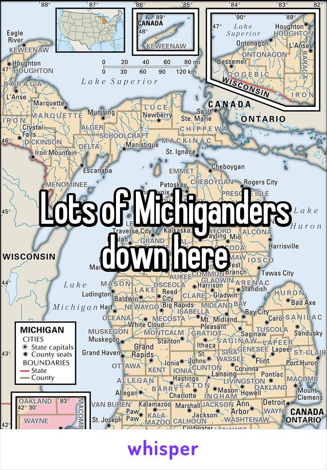 Lots of Michiganders down here