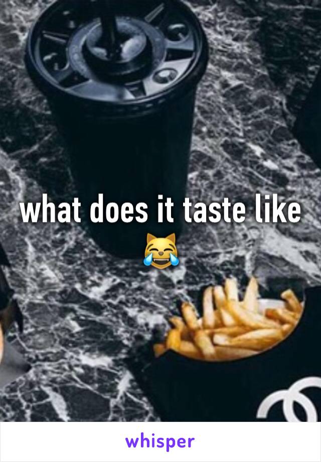what does it taste like 😹