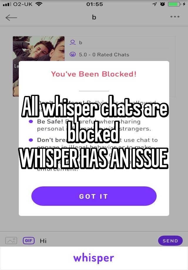 All whisper chats are blocked 
WHISPER HAS AN ISSUE 