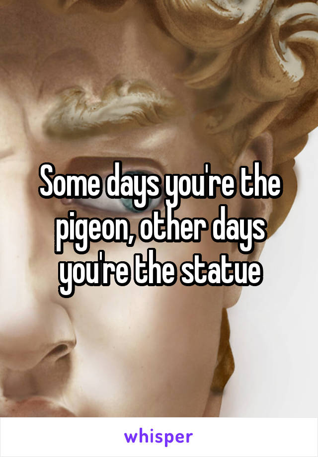 Some days you're the pigeon, other days you're the statue