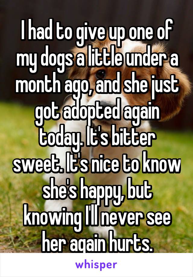 I had to give up one of my dogs a little under a month ago, and she just got adopted again today. It's bitter sweet. It's nice to know she's happy, but knowing I'll never see her again hurts.