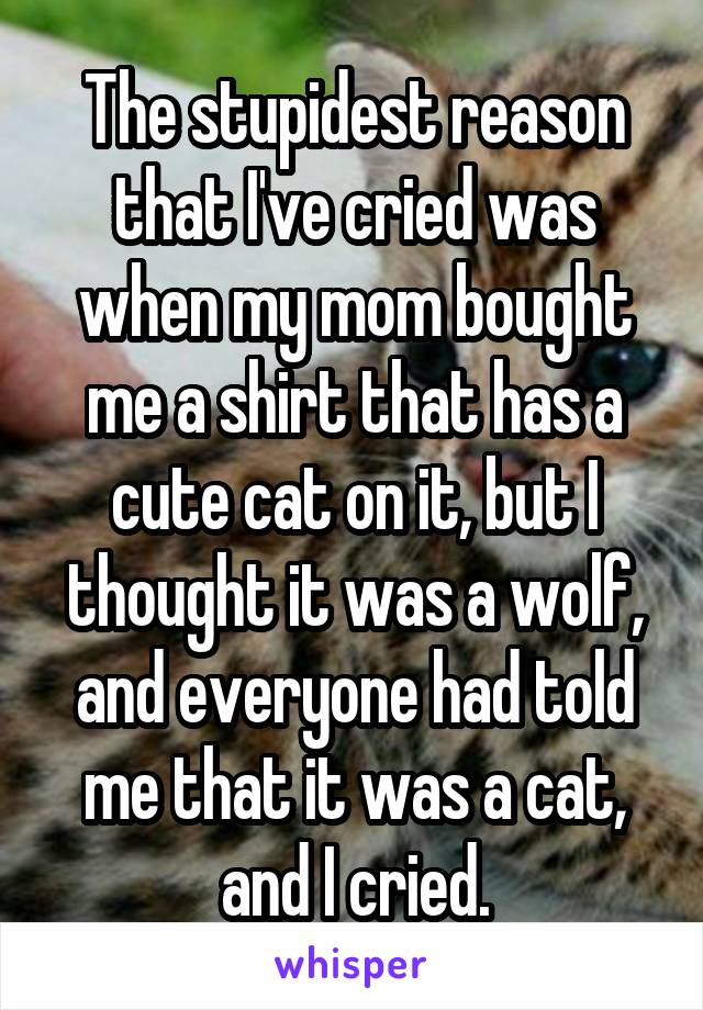 The stupidest reason that I've cried was when my mom bought me a shirt that has a cute cat on it, but I thought it was a wolf, and everyone had told me that it was a cat, and I cried.