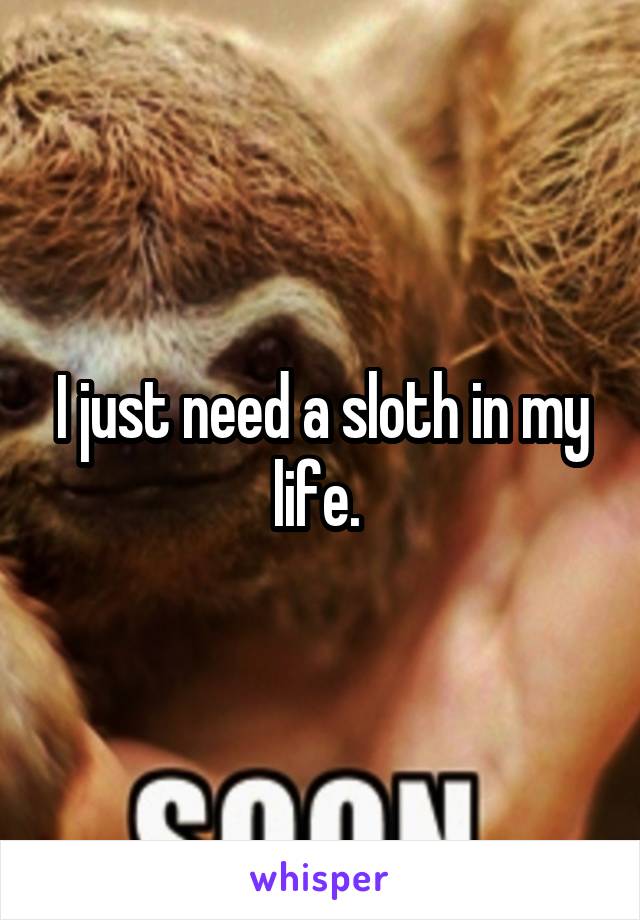 I just need a sloth in my life. 