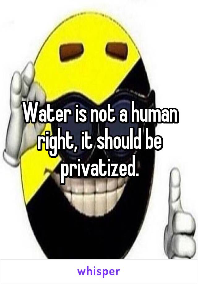 Water is not a human right, it should be privatized.