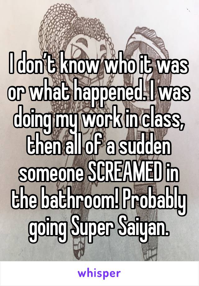 I don’t know who it was or what happened. I was doing my work in class, then all of a sudden someone SCREAMED in the bathroom! Probably going Super Saiyan.