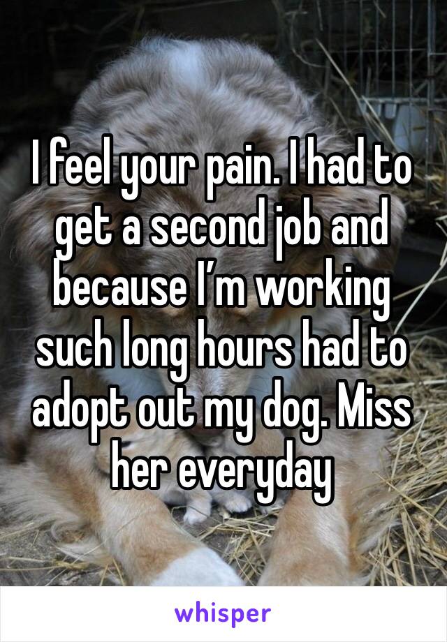 I feel your pain. I had to get a second job and because I’m working such long hours had to adopt out my dog. Miss her everyday 