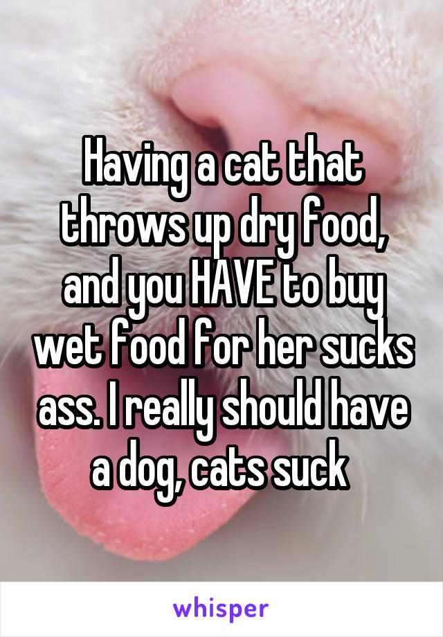 Having a cat that throws up dry food, and you HAVE to buy wet food for her sucks ass. I really should have a dog, cats suck 