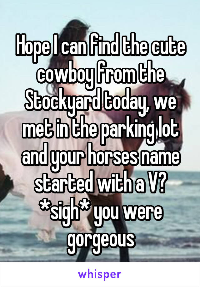 Hope I can find the cute cowboy from the Stockyard today, we met in the parking lot and your horses name started with a V? *sigh* you were gorgeous