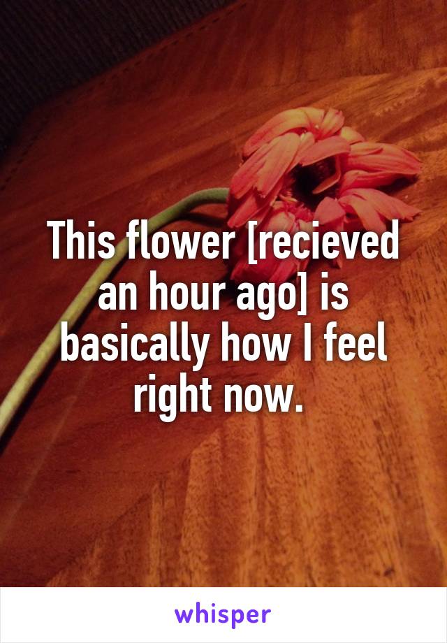 This flower [recieved an hour ago] is basically how I feel right now. 