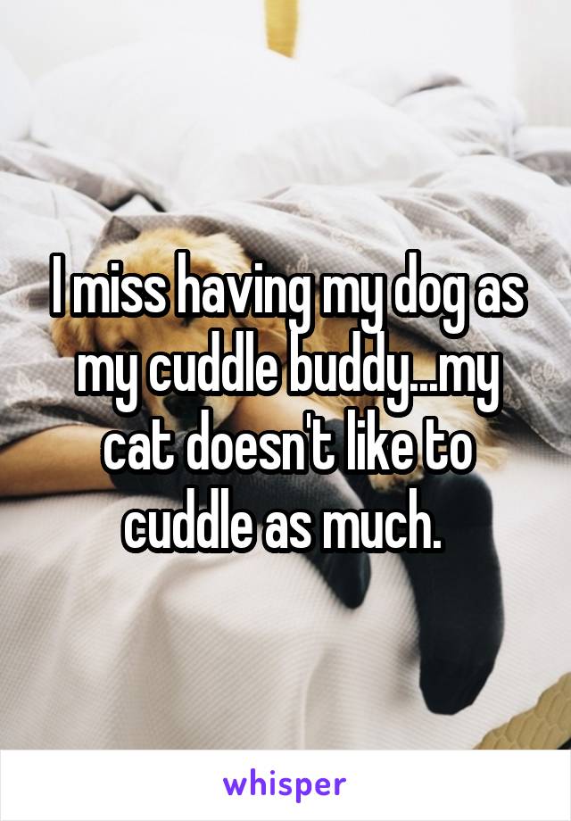 I miss having my dog as my cuddle buddy...my cat doesn't like to cuddle as much. 