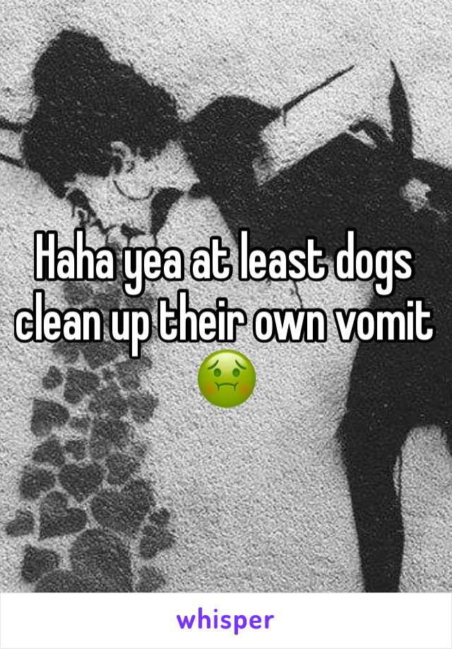 Haha yea at least dogs clean up their own vomit 🤢 