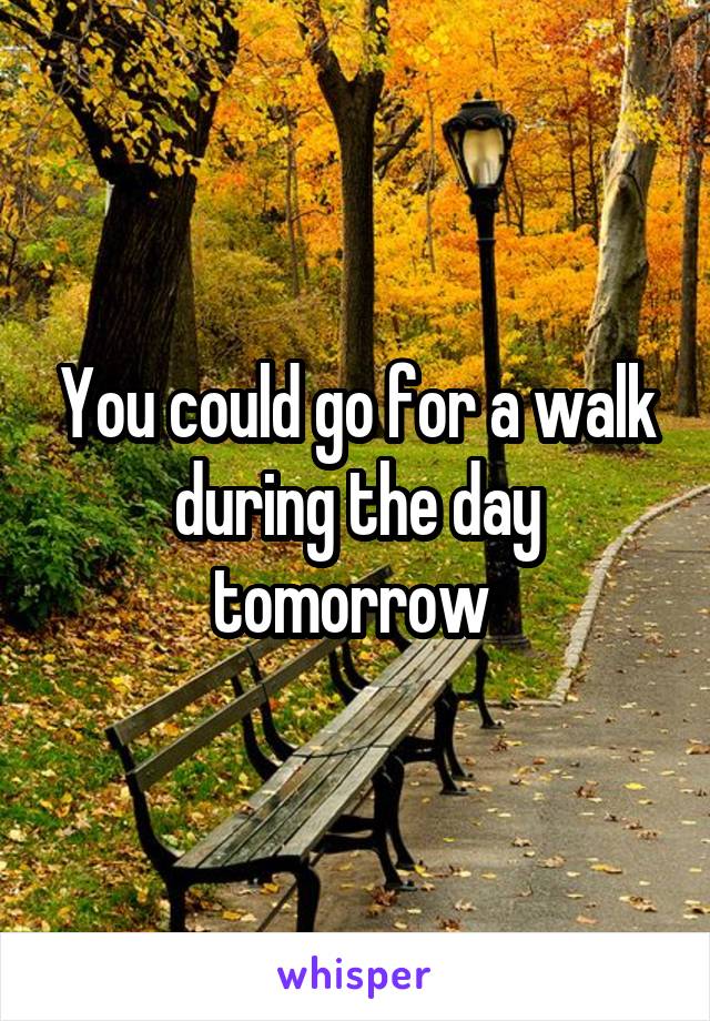 You could go for a walk during the day tomorrow 