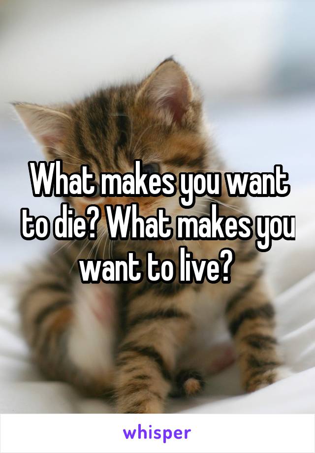 What makes you want to die? What makes you want to live? 