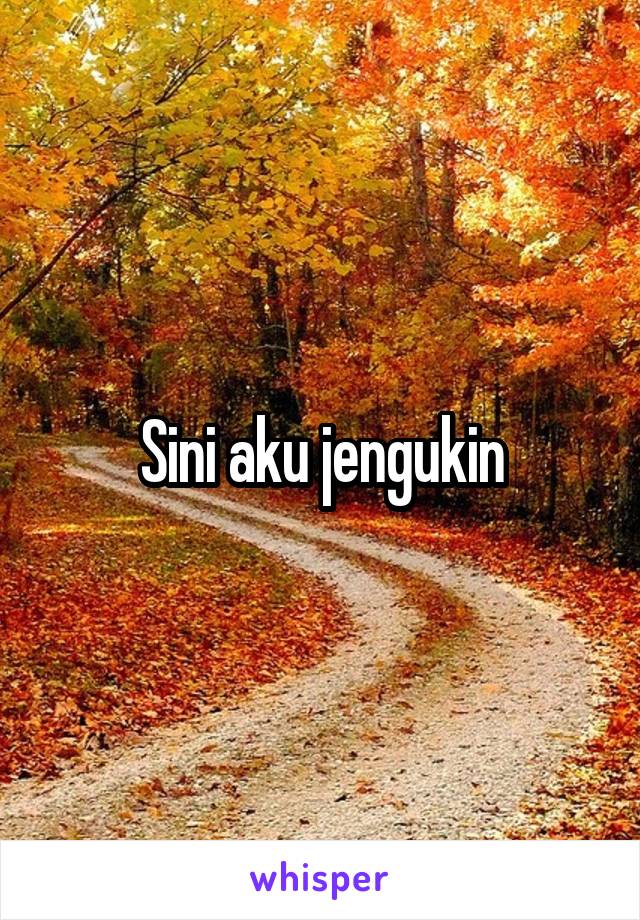 Sini aku jengukin