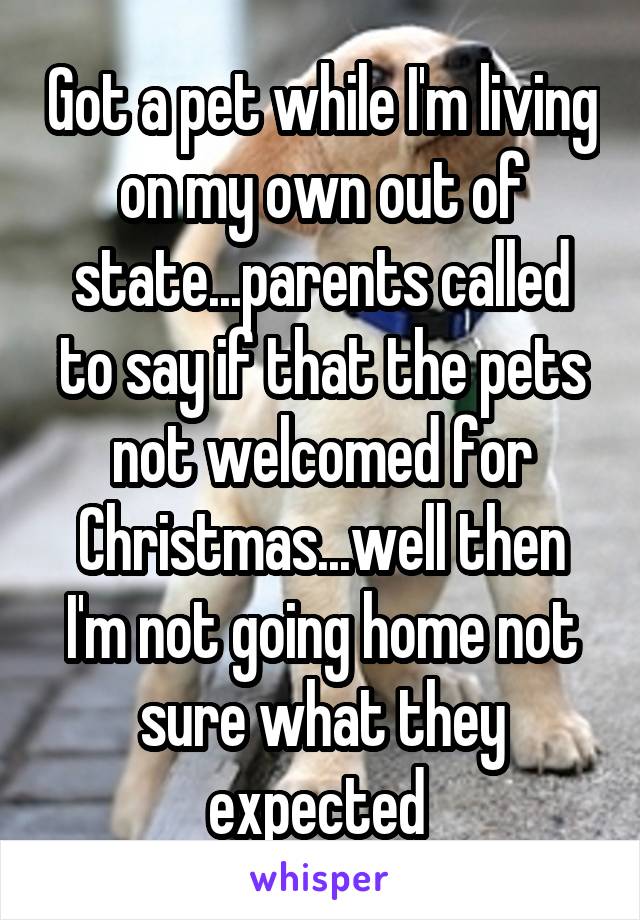 Got a pet while I'm living on my own out of state...parents called to say if that the pets not welcomed for Christmas...well then I'm not going home not sure what they expected 