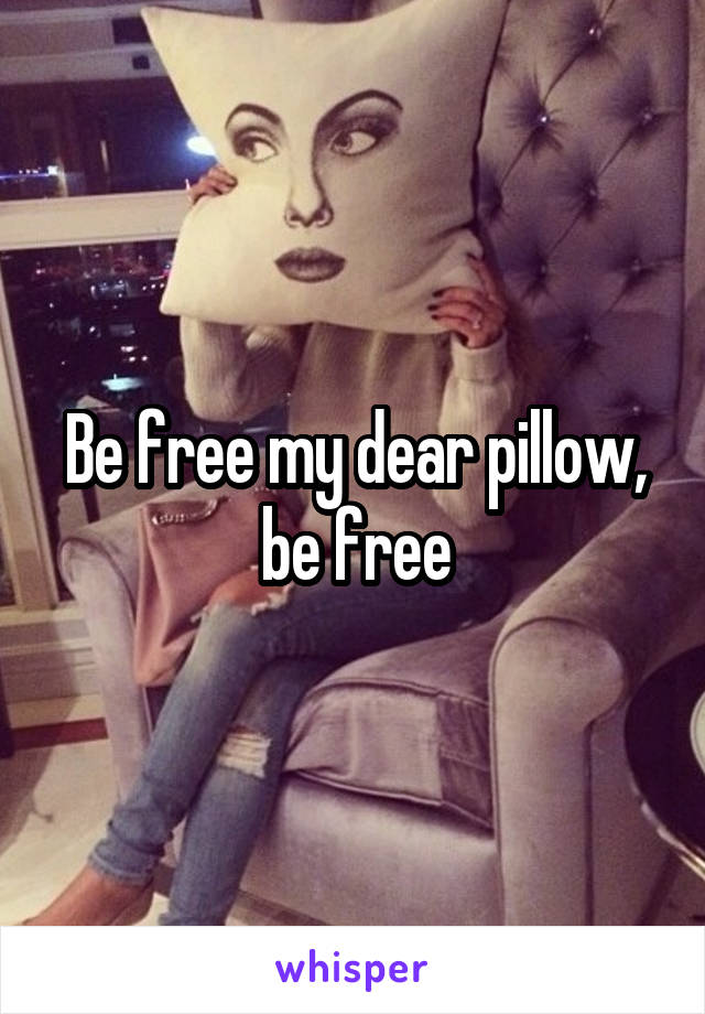 Be free my dear pillow, be free
