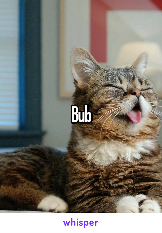 Bub