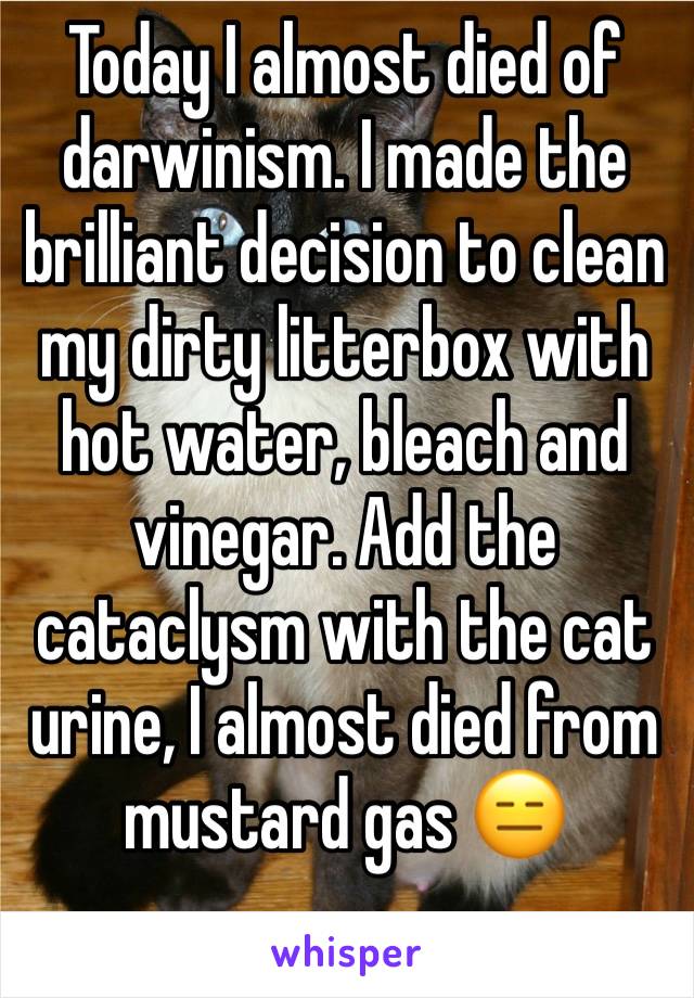 Today I almost died of darwinism. I made the brilliant decision to clean my dirty litterbox with hot water, bleach and vinegar. Add the cataclysm with the cat urine, I almost died from mustard gas 😑