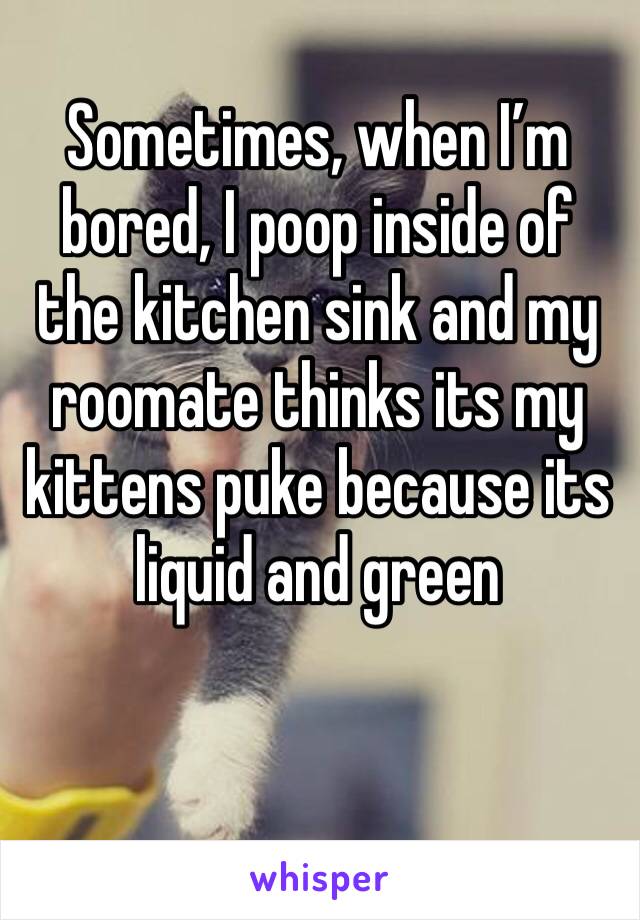 Sometimes, when I’m bored, I poop inside of the kitchen sink and my roomate thinks its my kittens puke because its liquid and green