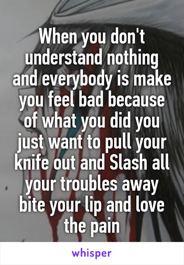 When you don't understand nothing and everybody is make you feel bad because of what you did you just want to pull your knife out and Slash all your troubles away bite your lip and love the pain