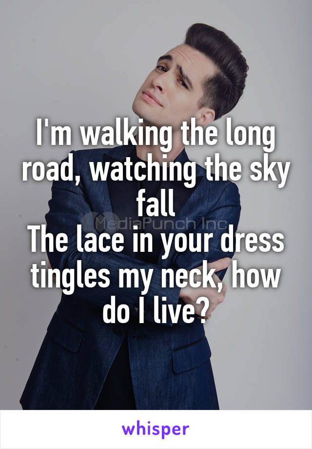 I'm walking the long road, watching the sky fall
The lace in your dress tingles my neck, how do I live?