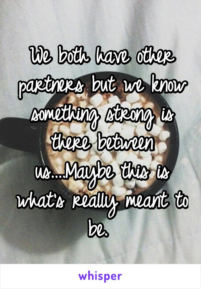 We both have other partners but we know something strong is there between us....Maybe this is what's really meant to be. 