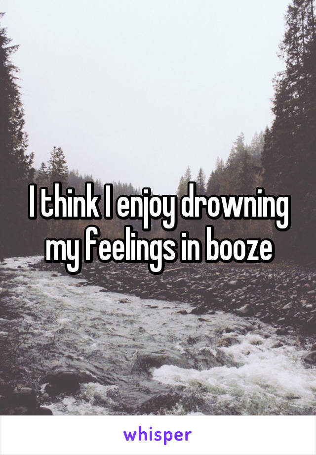 I think I enjoy drowning my feelings in booze