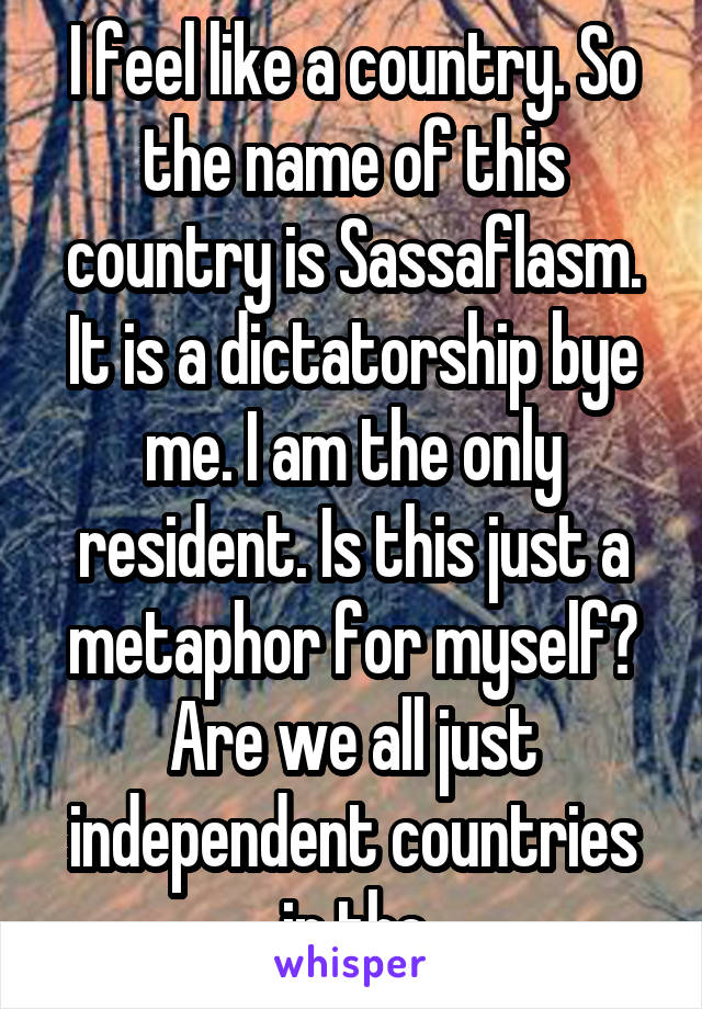 I feel like a country. So the name of this country is Sassaflasm. It is a dictatorship bye me. I am the only resident. Is this just a metaphor for myself? Are we all just independent countries in the