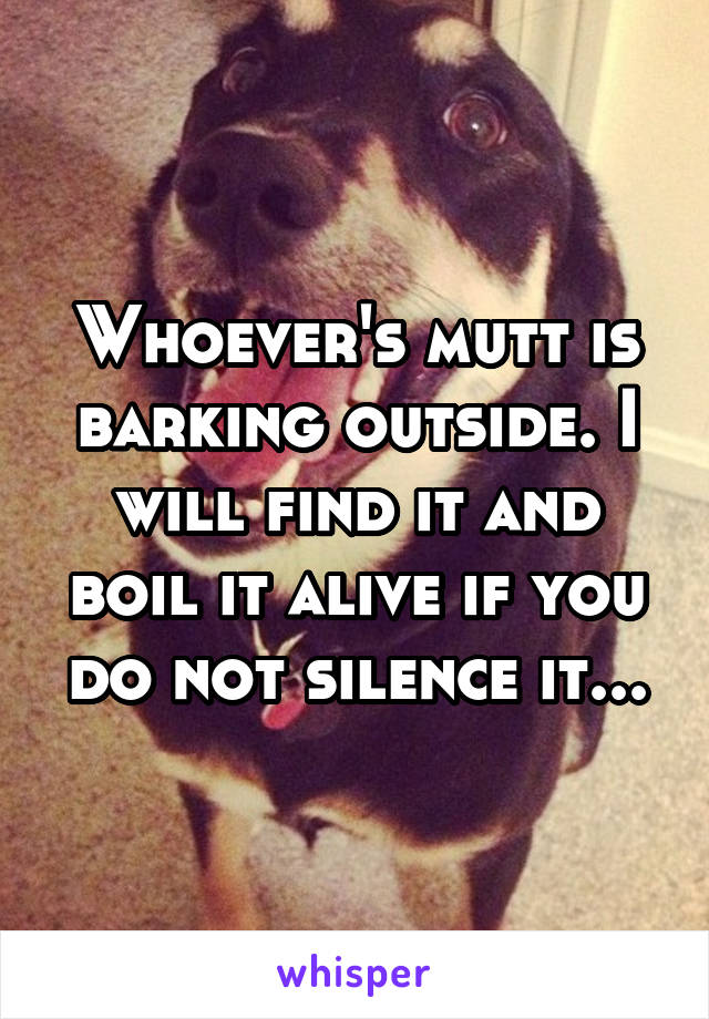 Whoever's mutt is barking outside. I will find it and boil it alive if you do not silence it...